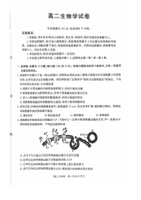 湖南省多校联考2025—2026学年高二上学期10月月考生物试卷