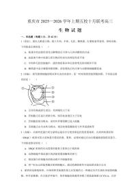 重庆市五校2025-2026学年高三上期10月联考生物试卷（PDF版附解析）