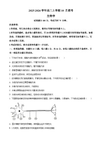 河北省保定市部分示范高中2025-2026学年高二上学期10月月考生物试题含答案含答案解析