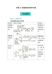 专题10 细胞核的结构和功能（word）2024-2025学年人教版2019 高一必修一生物 期中复习（知识点+习题）