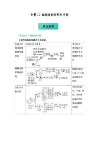 专题10 细胞核的结构和功能（word）2024-2025学年人教版2019 高一必修一生物 期中复习（知识点+习题）