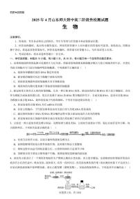 山东师范大学附属中学2024-2025学年高二下学期4月期中考试生物试卷+答案