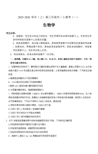 河南省天一大联考2025-2026学年高三上学期10月月考生物试题（含答案）