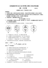 江苏省扬州市广陵区江苏省扬州中学2024-2025学年高一下学期3月月考生物试题（含答案）