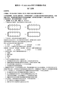 湖南省衡阳市第一中学2023-2024学年高二下学期期末考试生物试题