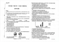 河南省TOP二十校205—2026学年高一上学期10月联考生物试题（月考）