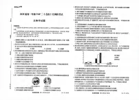 河南省TOP二十校205—2026学年高一上学期10月联考生物试题（月考）
