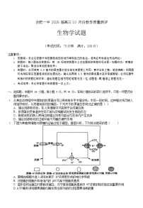 安徽省合肥一中2026届高三上学期10月考试 生物试卷