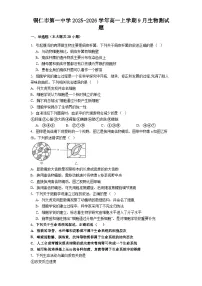 铜仁市第一中学2025-2026学年高一上学期9月生物测试题