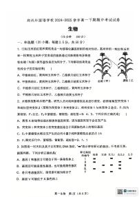 河南省郑州外国语学校2024-2025学年高一下学期期中考试生物试卷+答案