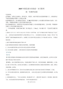 湖北省部分名校2024-2025学年高一下学期3月联考生物试卷+答案