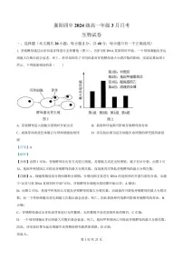 湖北省襄阳市第四中学2024—2025学年高一下学期3月考试生物试题+答案