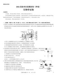 名校教研联盟2026届高考高三上学期10月仿真模拟卷（样卷）生物试题及答案含答题卡
