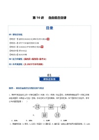 第16讲  自由组合定律（专项训练）（含答案）2026年高考生物一轮复习讲练测（全国通用）