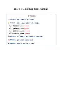 第19讲 DNA是主要的遗传物质（知识清单）（全国通用）（含答案）2026年高考生物一轮复习讲练测（全国通用）