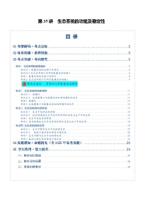 第35讲 生态系统的功能及稳定性（复习讲义）（全国通用）（含答案）2026年高考生物一轮复习讲练测（全国通用）