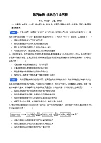 第四单元 细胞的生命历程（综合训练）（含答案）（全国通用）2026年高考生物一轮复习讲练测（全国通用）