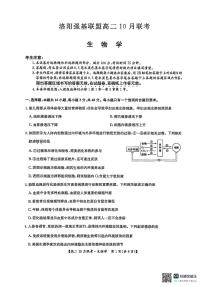 河南省洛阳强基联盟2025-2026学年高二上学期10月联考生物试卷（PDF版附解析）