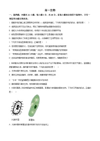 吉林省通化市梅河口市第五中学2025-2026学年高一上学期10月月考生物试卷（Word版附解析）