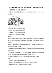 【生物】山东省潍坊市某校2025-2026学年高二上学期10月月考（学生版+解析版）