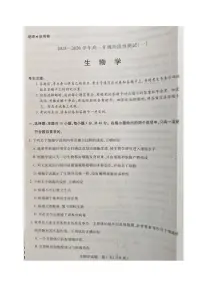 河南省部分名校2025-2026学年高一上学期阶段性测试（一）生物试卷（月考）