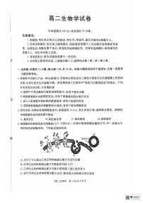 湖南省多校联考2025—2026学年高二上学期10月月考生物试卷