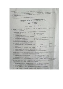 湖南省怀化市2024-2025学年高一上学期期中考试生物试题