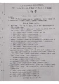 辽宁省沈阳市重点高中郊联体2026届高三上学期10月月考试题 生物 PDF版含解析