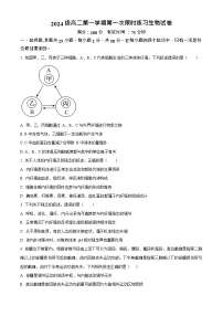 安徽省合肥市七中2025-2026学年高二上学期10月考试生物试卷
