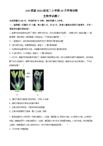 安徽省A10联盟2025-2026学年高二上学期10月学情诊断生物（C卷）试题（Word版附解析）
