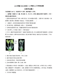 安徽省A10联盟2025-2026学年高二上学期10月学情诊断生物(C卷)试题(Word版附解析)