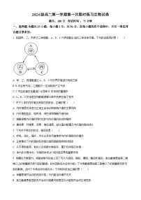 安徽省合肥市第七中学2025-2026学年高二上学期第一次月考生物试题（Word版附解析）