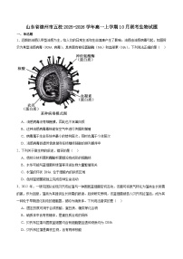 山东省德州市五校2025-2026学年高一上学期10月联考生物试卷（Word版附答案）