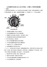 山东省德州市五校2025-2026学年高一上学期10月联考生物试卷（Word版附答案）