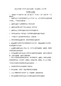 湖北省武汉市第六中学2025-2026学年高一上学期第一次月考生物试题（Word版附答案）