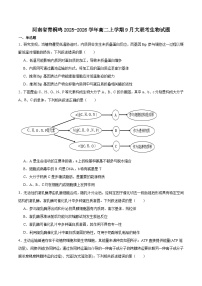 河南省青桐鸣2025-2026学年高二上学期9月大联考生物试卷（Word版附答案）