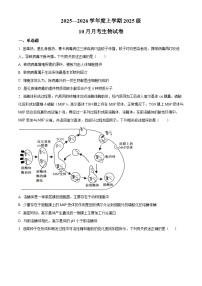 湖北省荆州市沙市中学2025-2026学年高一上学期10月月考生物试卷（Word版附解析）