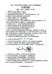 辽宁省大连市第八中学2025-2026学年高二上学期10月月考生物试卷