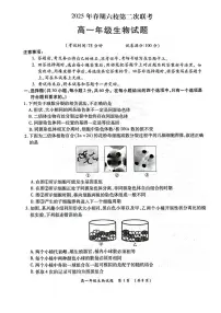 河南省南阳市六校2024-2025学年高一下学期第二次联考生物试卷（有解析）