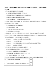 辽宁省大连市滨城高中联盟2025-2026学年高一上学期10月月考生物试卷（Word版附答案）