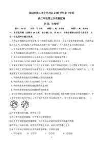 辽宁省沈阳市第一二〇中学2024-2025学年高二下学期第三次质量监测生物试卷(含详解)