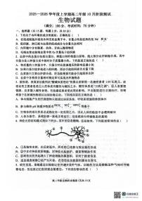 生物-辽宁省大连市第八中学2025-2026学年高二上学期10月阶段测试试题及答案