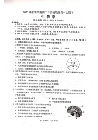 广西壮族自治区河池市十校联考2025-2026学年高二上学期10月月考生物试卷