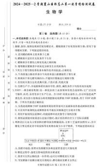 湖南省长沙市麓山国际实验学校2024-2025学年高二下学期第一次学情检测生物试卷+答案