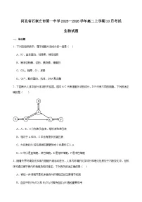 河北省石家庄市第一中学2025-2026学年高二上学期10月阶段检测生物试卷 (含解析)
