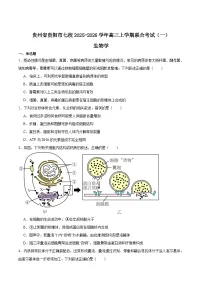 贵州省贵阳市七校联盟2026届高三上学期联合考试（一）生物试题（Word版附答案）