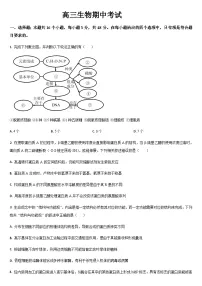 吉林省通化市梅河口市第五中学2025-2026学年高三上学期10月期中生物试题（含答案）