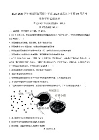 四川省成都市双流中学2026届高三上学期10月月考生物试卷（Word版附解析）
