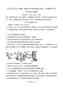 四川省成都市双流中学2026届高三上学期期中考试生物试卷（Word版附解析）