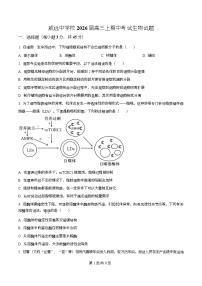 四川省内江市威远中学2026届高三上学期期中考试生物试卷（Word版附解析）